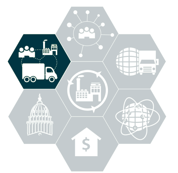 Naima Supply Chain Consulting Intell